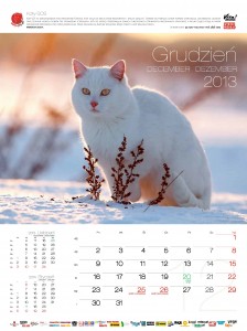 Kalendarz_WM_2014 (1)
