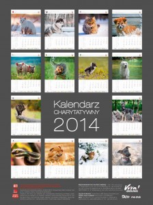 Kalendarz_WM_2014 (15)