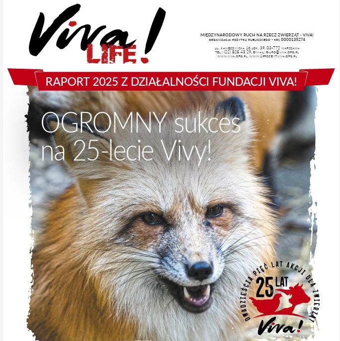 Jubileuszowy rocznik „Viva! Life” już dostępny